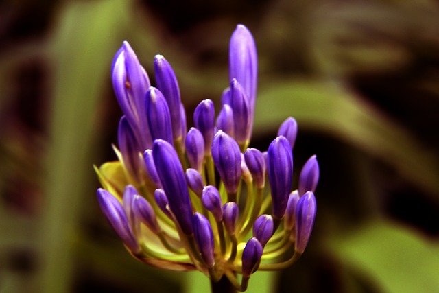 纳瓦斯：退役前一年因髋关节问题我甚至无法陪孩子们散步